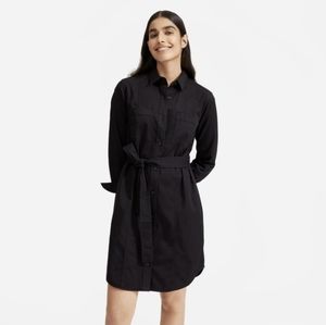 Everlane The Modern Utility Shirtdress
